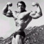 Arnold