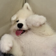 早上好中国我爱吃冰淇 - steam id 76561198772420547