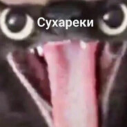 DRINK VODKA WIN DOTKA