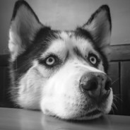 爸爸的爸爸叫爷爷