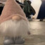 Gandal the stinky