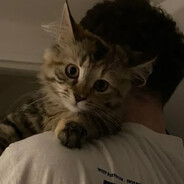 name✞✞✞ avatar