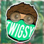 twigsy