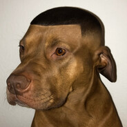 Буль-буль трэн