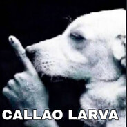N3bulasss - steam id 76561197968359843