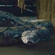 Nagini