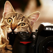 deepackj - steam id 76561197964090982