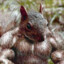 ☭ Buffed Squirrel ☭