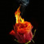 Burn, burn clear ...