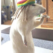 КоКоС_ТеБе_В_НоС