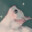 ducky lover