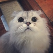 胆小社恐害怕网络暴力