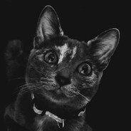 SweetZenkai avatar