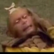 假如能当三天老蒯