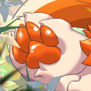 橘子味的小鲨鱼