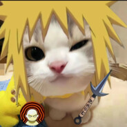 花从不独自盛开