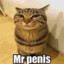 Mr.penis