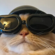 搬砖的焦糖玛奇朵