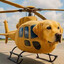 Dog Copter