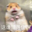瘾大莱菜子