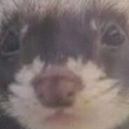 __-__