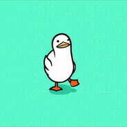 mr. duck