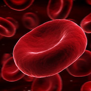 Red Blood Cell avatar