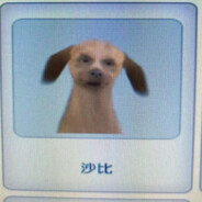 帅到小美倒追我