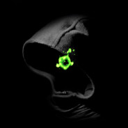 Hunter Eye