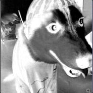 我和杨老师玩DOTA