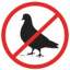 HintedPigeon