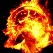 [OG Spedition]Happy-Fire-TV