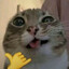 missile silo themed pawjobs