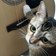 Wesh! Ça va ou quoi!