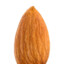 Almond