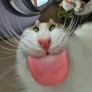 AXI