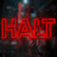 oHaltgamer847_