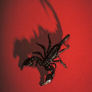 sex appeal - steam id 76561199364504130