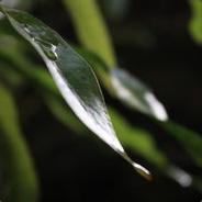 为什么游戏这么难玩呢，心累啊