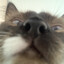 urk