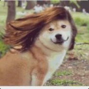 鞭子的花语是富与忍