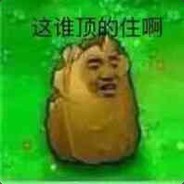 真就一发呗！