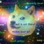 SpaceDoge