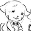 Hebi Cat