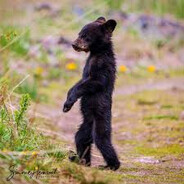 mutant - steam id 76561198040144415