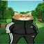 Gopnik Kat