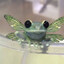 CeleHasFrogs