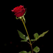 发把狙你就是我老婆