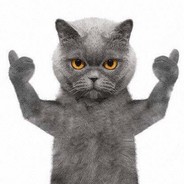 我赌你的枪里没有子弹