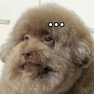 Собачий кайф